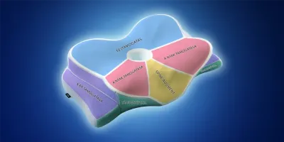 Pillow zones HU C SM