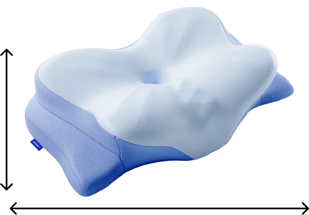 Standard pute 50x30 cm